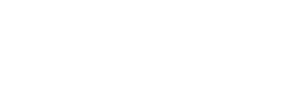 Punch Powertrain White Logo